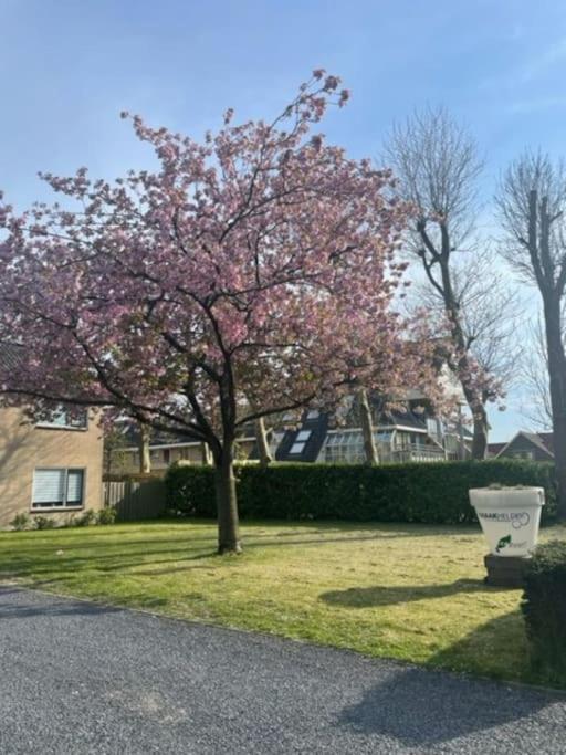 Holidayhome Zonnestraal 9P Amsterdam And The Beach 히어후코바드 외부 사진